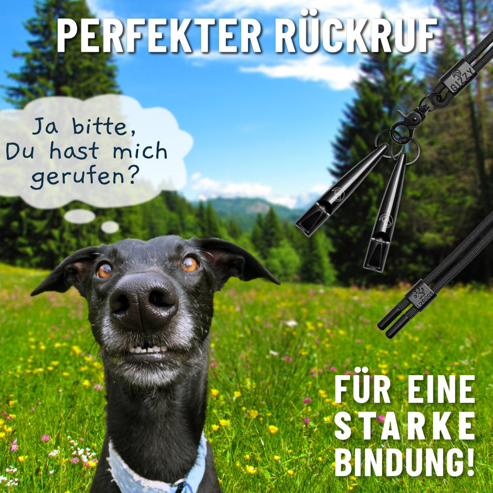 GIZZY® Hundepfeife 2er-Set – Lauter Pfeifton für Hundetraining