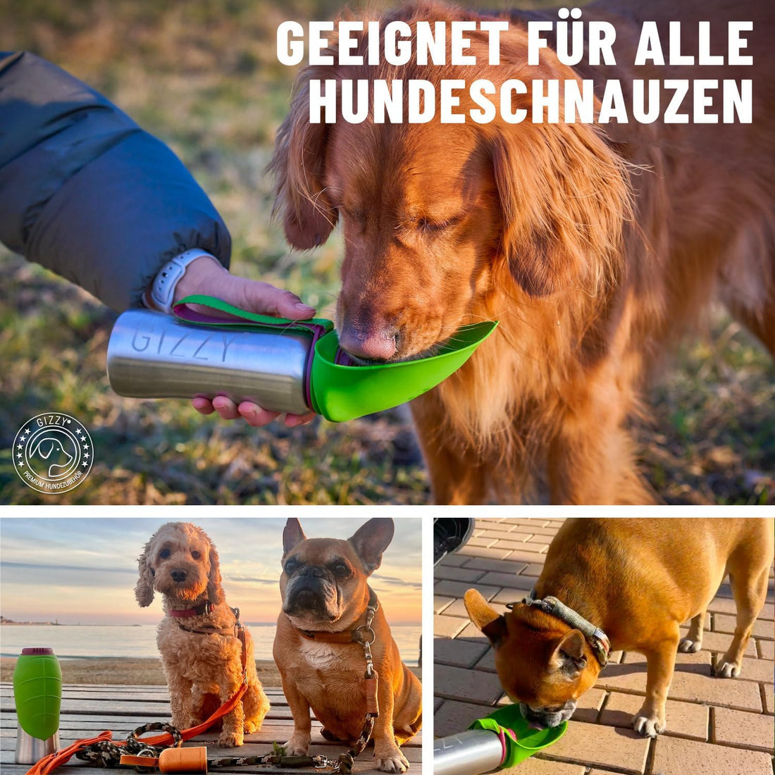 GIZZY® Trinkflasche Hund – Auslaufsichere Edelstahl-Wasserflasche