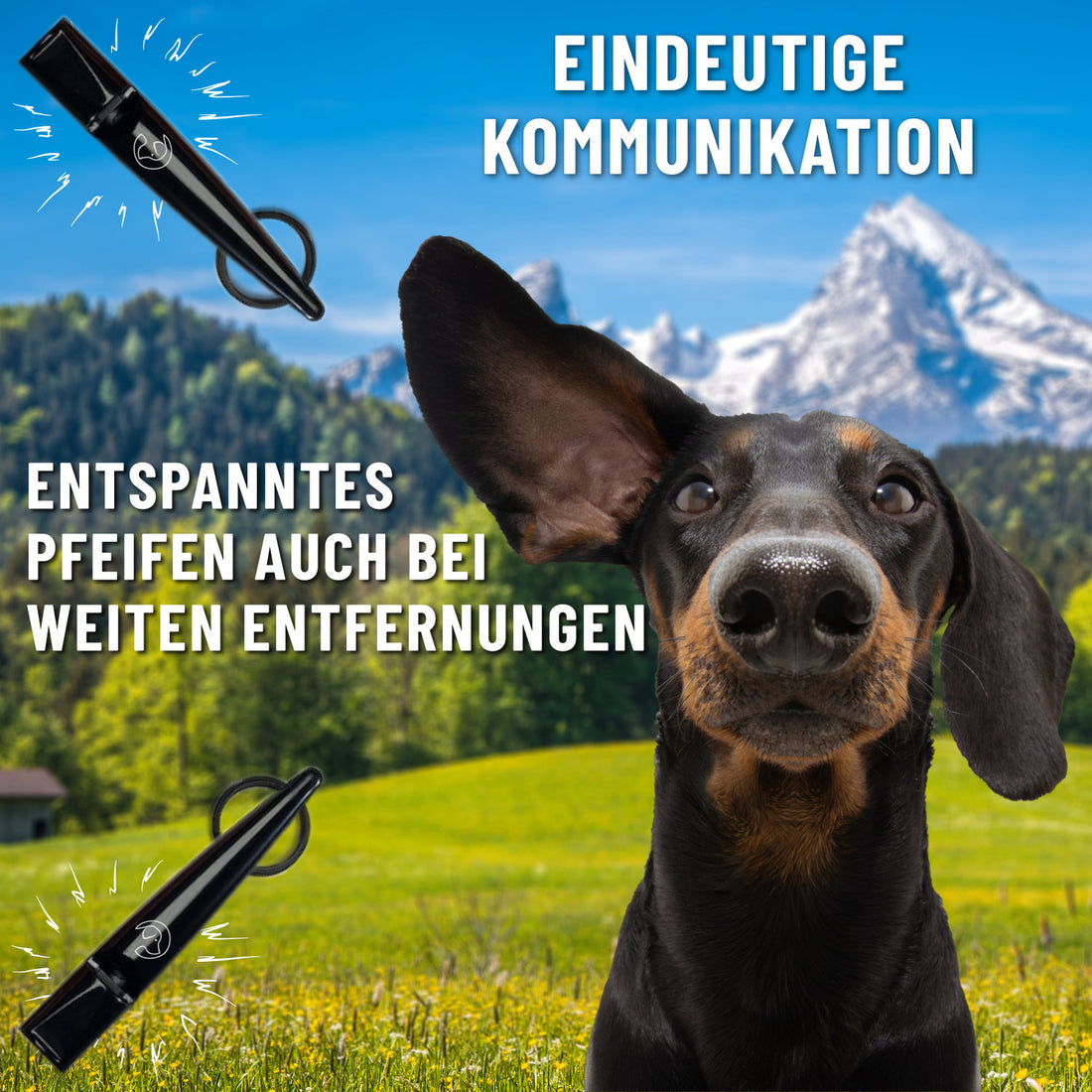 GIZZY® Hundepfeife 2er-Set – Lauter Pfeifton für Hundetraining
