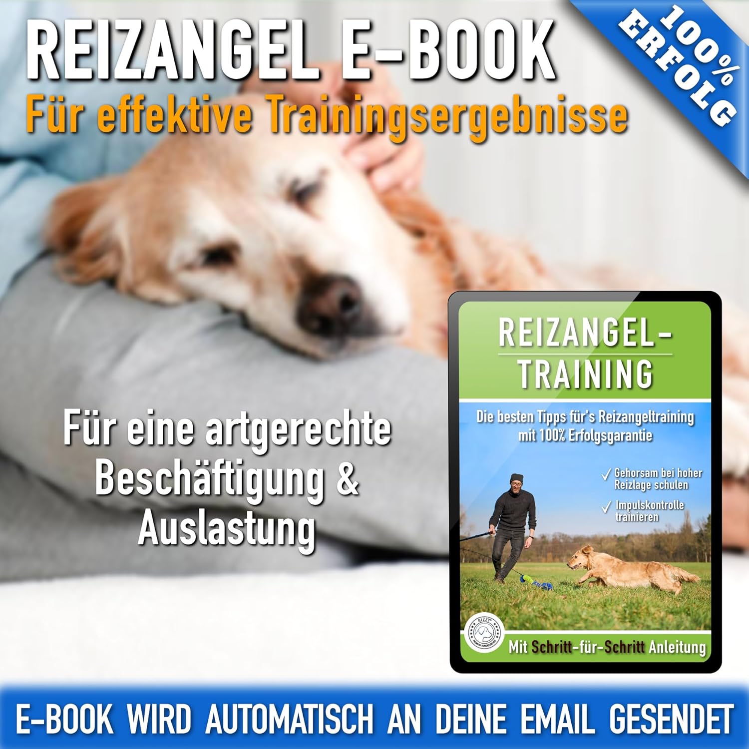 GIZZY® Reizangel Hund XL – Robuste Trainingsangel & Hundespielzeug