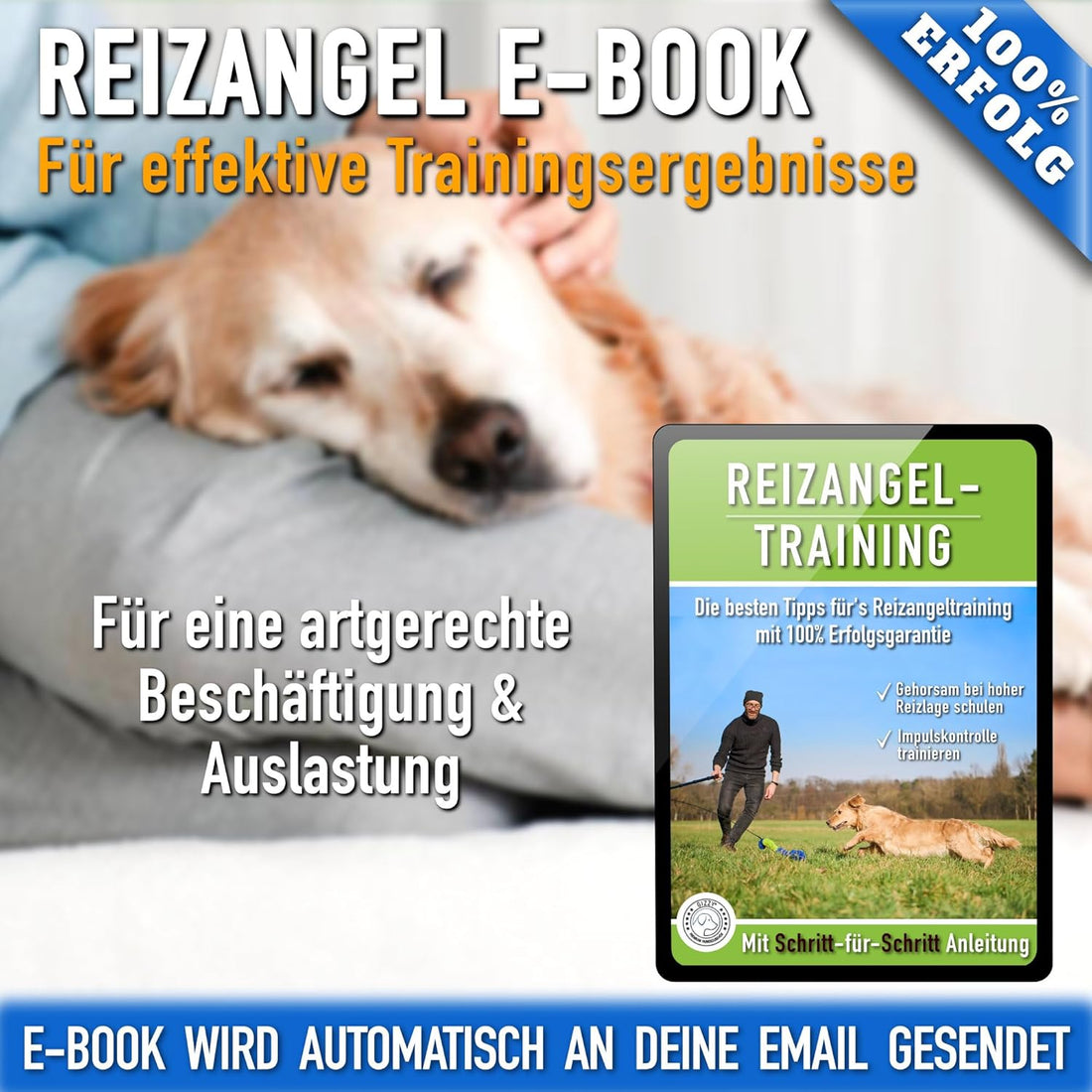 GIZZY® Reizangel Hund XL – Robuste Trainingsangel & Hundespielzeug