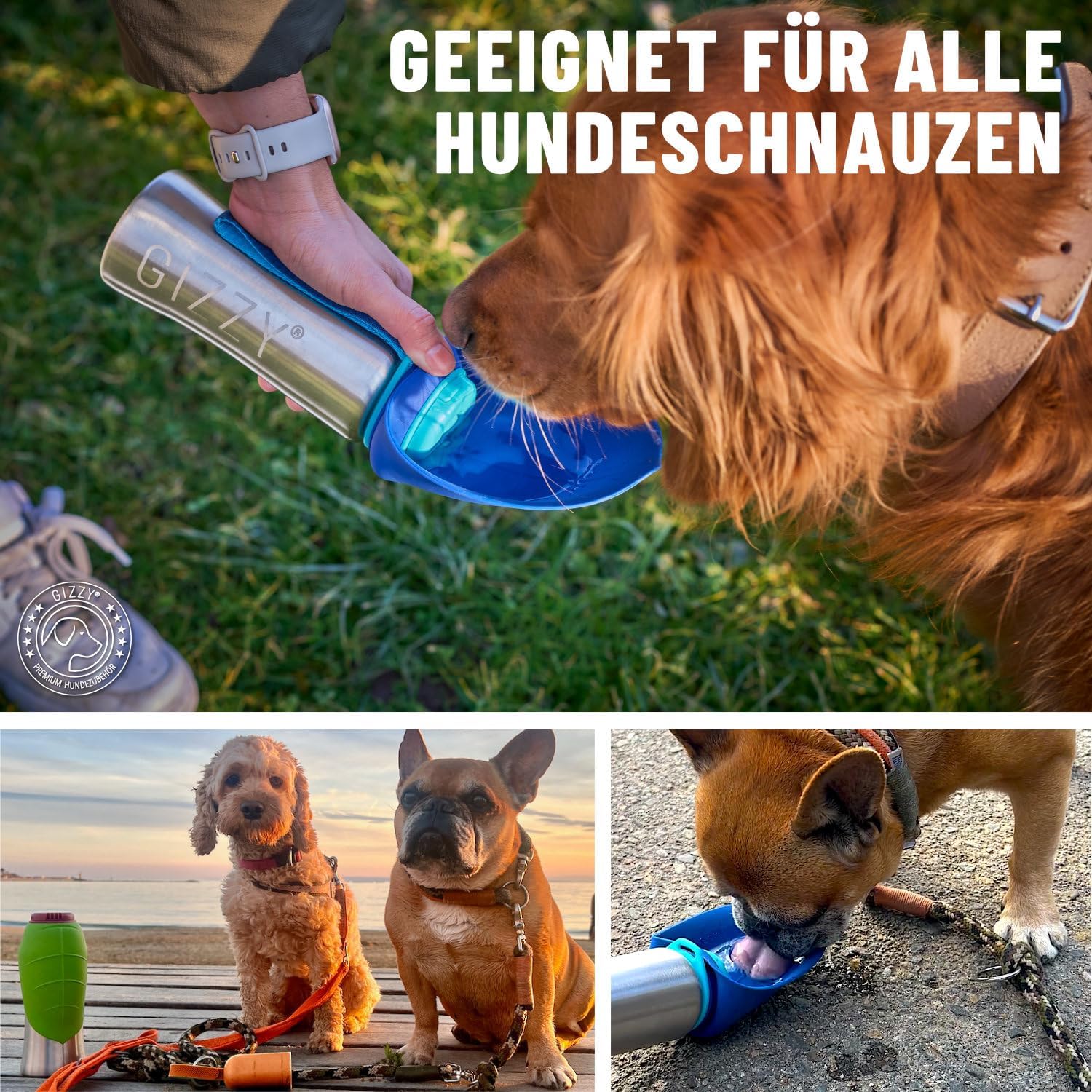 GIZZY® Trinkflasche Hund – Auslaufsichere Edelstahl-Wasserflasche